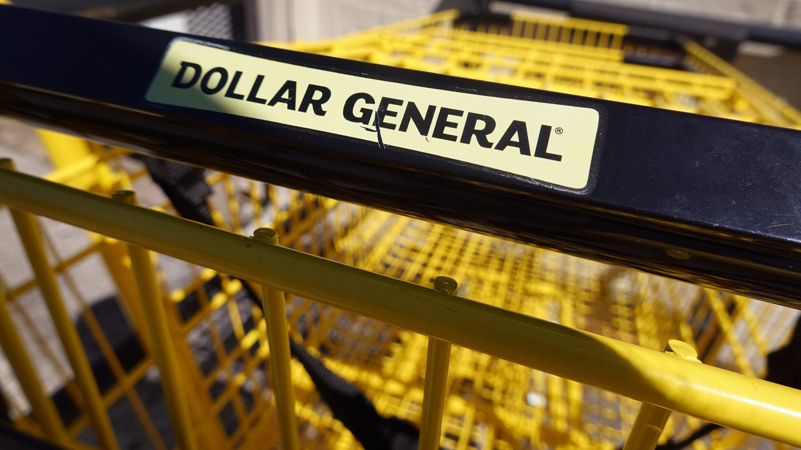 12 Best Dollar General Kitchen Finds Perfect For Fall 2026
