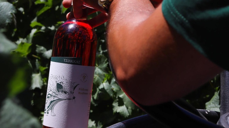Man holding a bottle of Rodinos with vines in the background