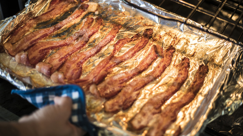 Person putting bacon in the oven to cook