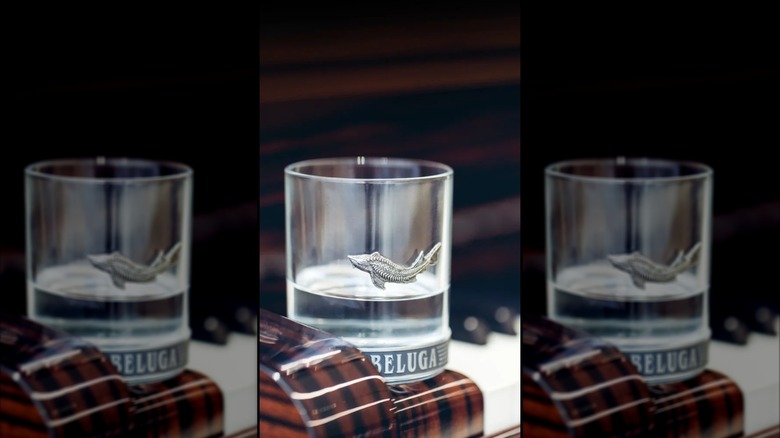 A glass of Beluga vodka neat in a branded glass