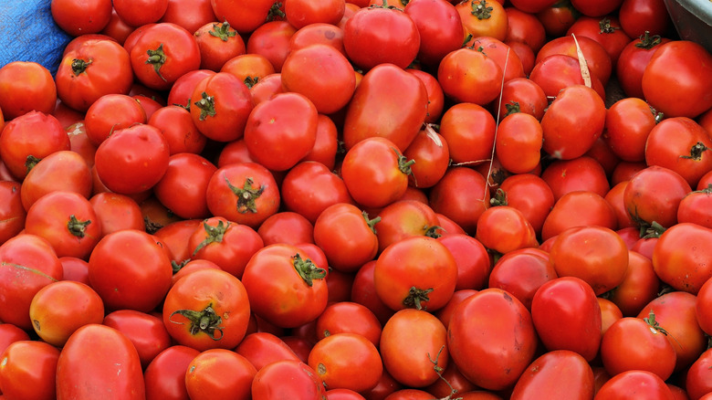 Pile of fresh tomatoes