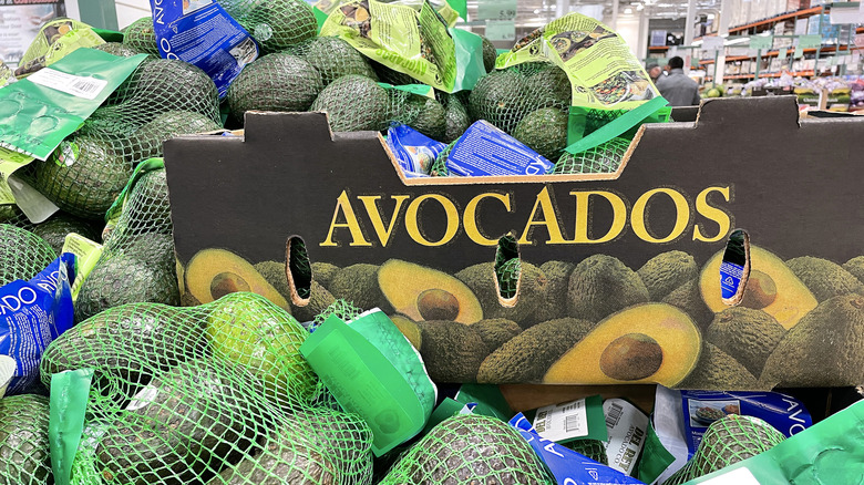 Bags of avocados on a display at Costco