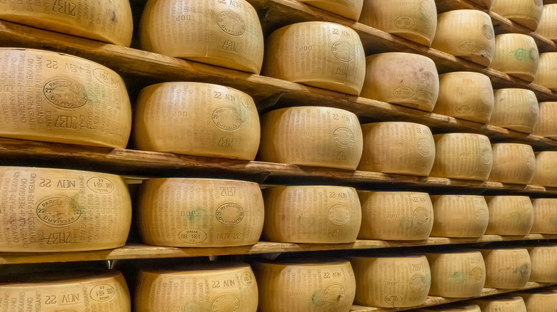 Shelves filled with wheels of parmesan cheese