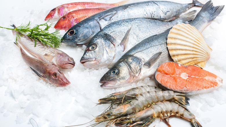 freshly caught fish and shrimp on ice