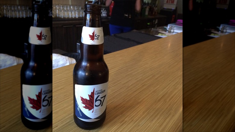 Bottle of Molson Canadian 67 on bar