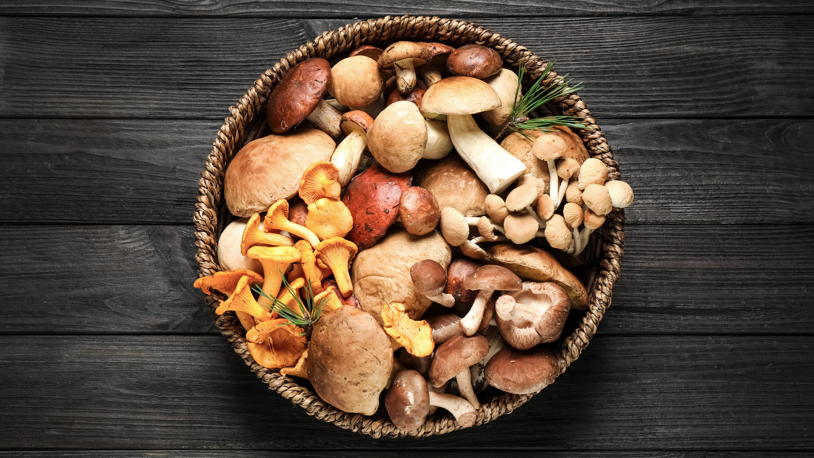 12 Medicinal Mushrooms You Have To Try