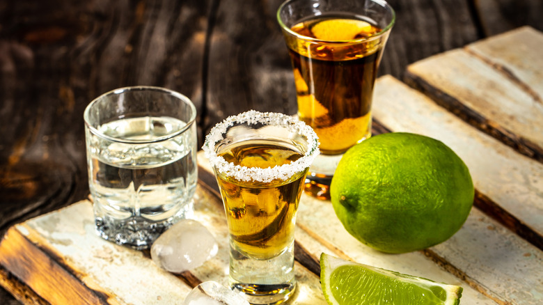 Shots of different tequila types