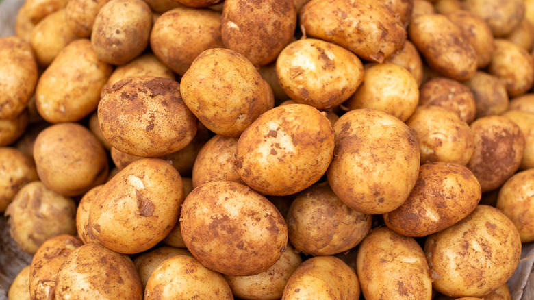 pile of potatoes