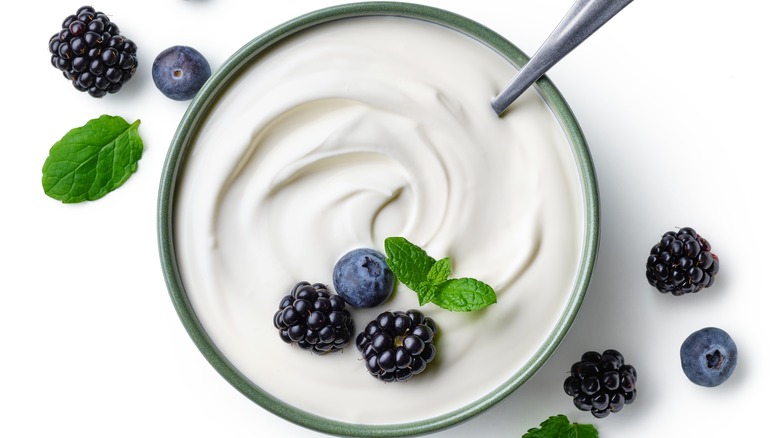 bowl of Greek yogurt with berries