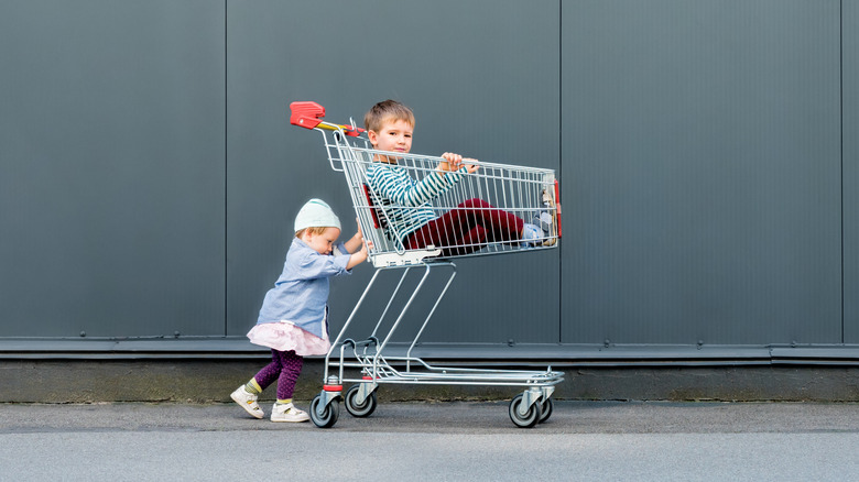 child pushing sibling in a shopping cart