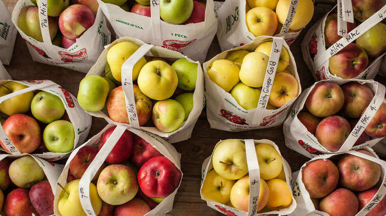 Variety of apples in bushel bags