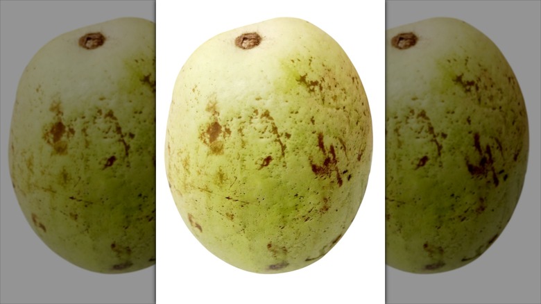 bruised squash