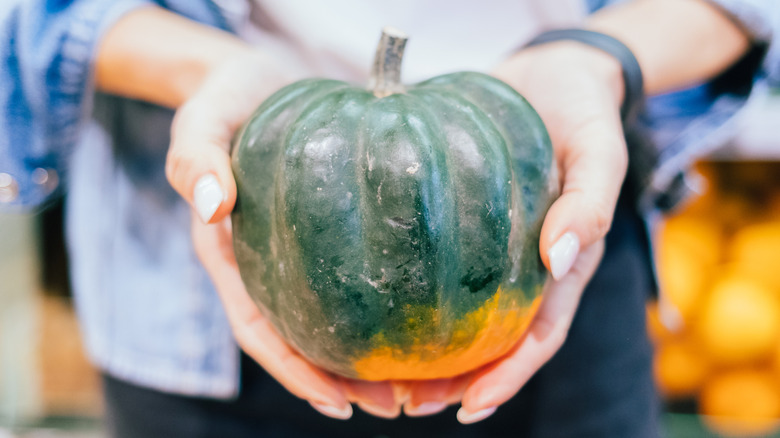 hands holding winter squash