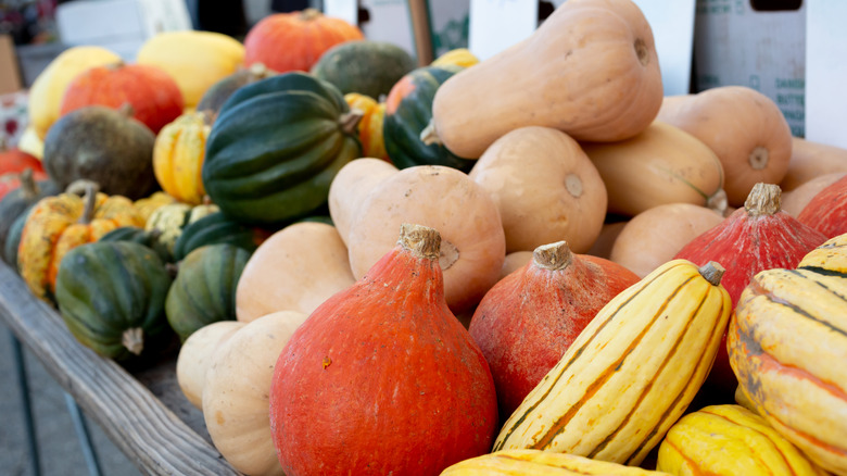 a selection of winter squash