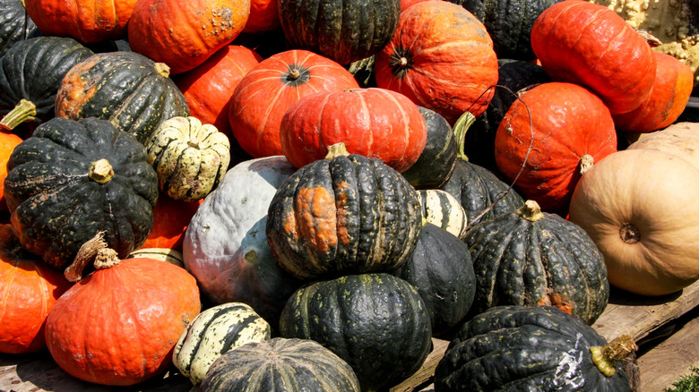 pile of various winter squash