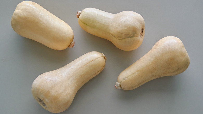 four butternut squash on gray background