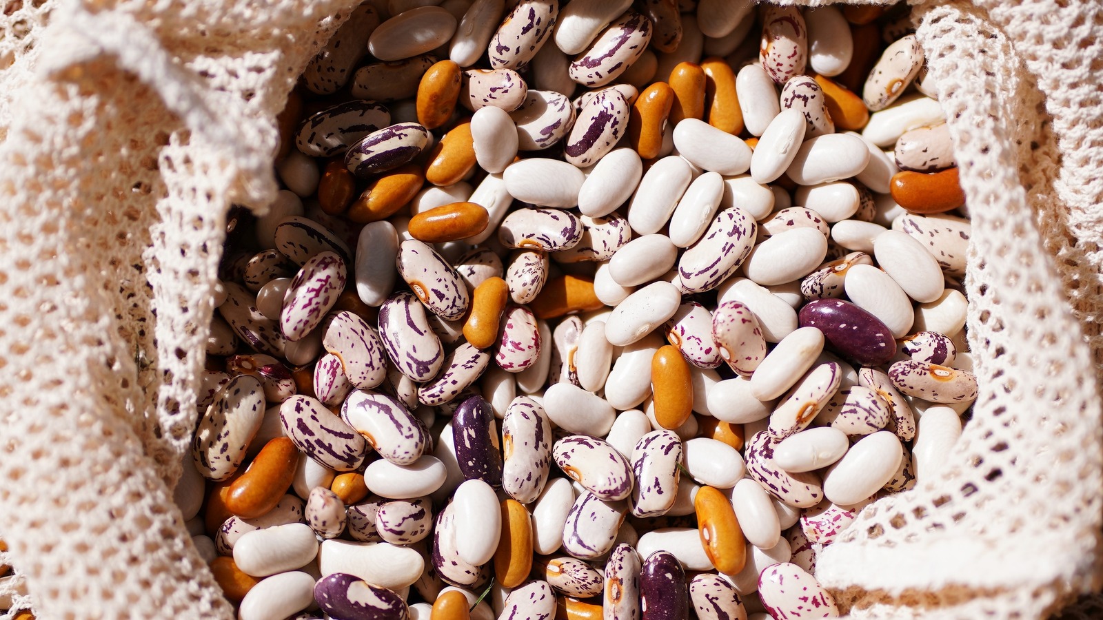 12 Types Of Heirloom Beans And How To Use Them In Your Cooking