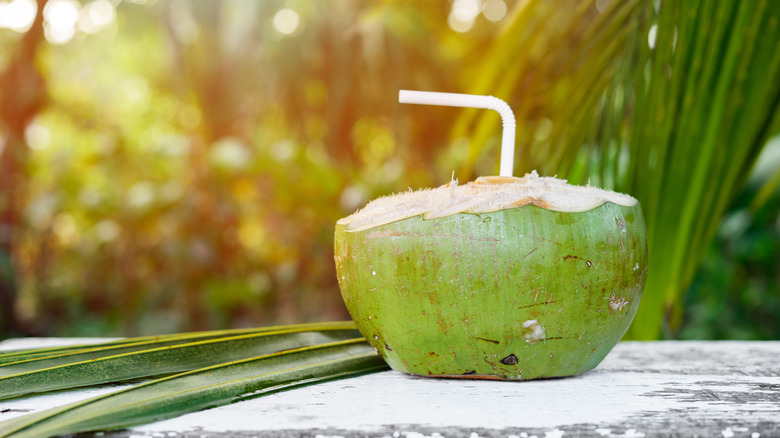   napój kokosowy ze słomką