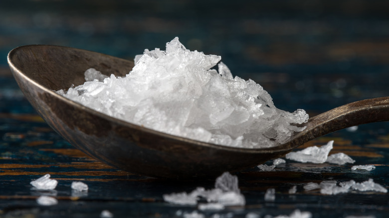 Flake salt in a spoon