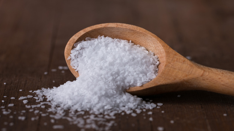 spoon of kosher salt