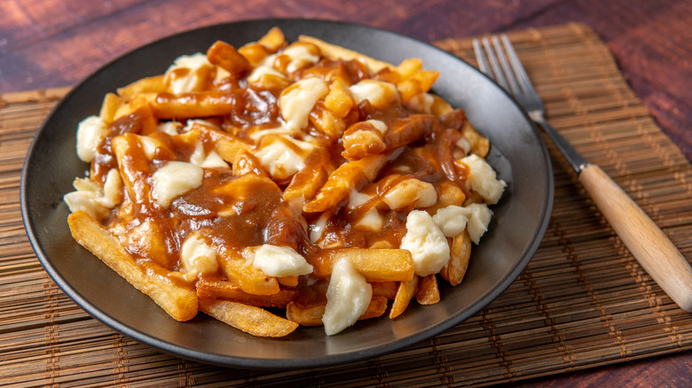 Fries with cheese and gravy on plate