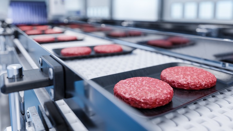 Premade burger patties on factory belt