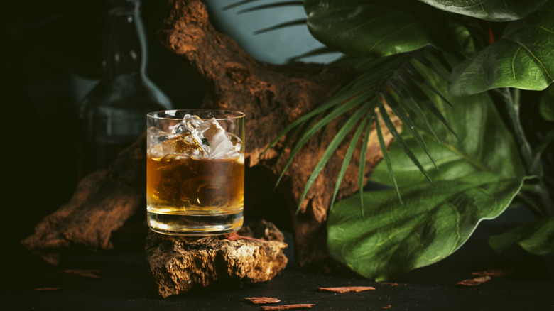 Glass of bourbon with ice with tropical leaves and driftwood