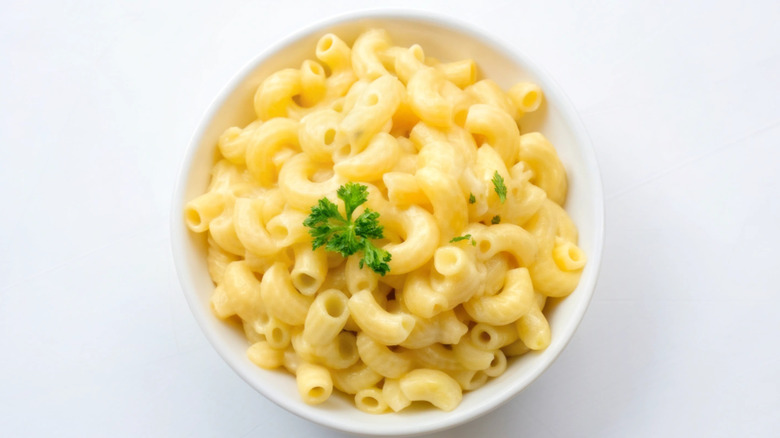 bowl of creamy pasta