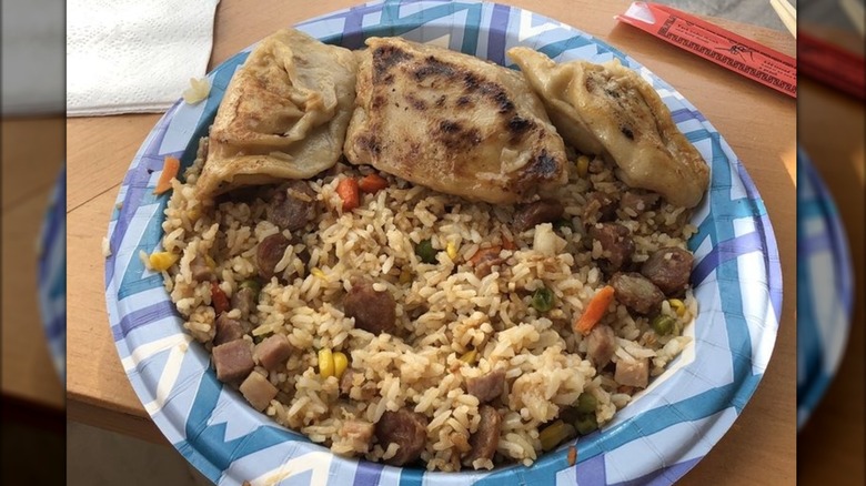 Pork dumplings and fried rice on paper plate at Hong's Chinese Dumplings restaurant