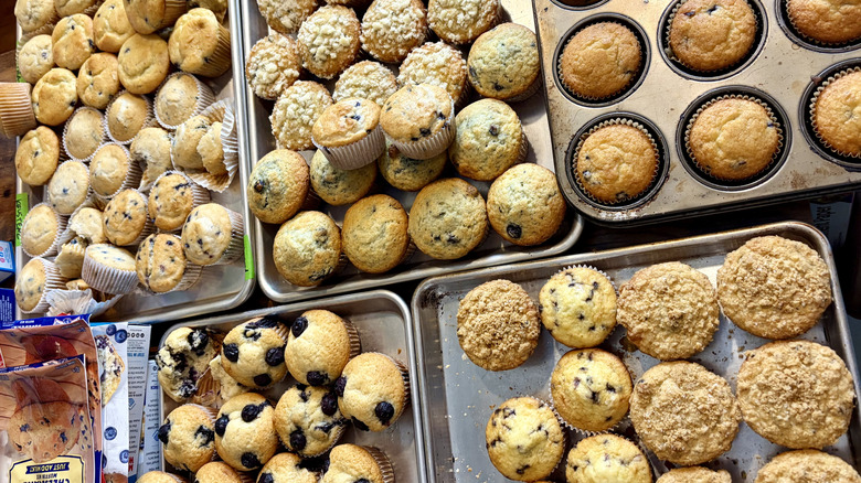 A tabletop covered with sheet trays and baking pans, stacked with freshly baked blueberry muffins from 13 different muffin mixes