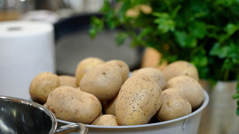 potatoes and herbs on kitchen counter