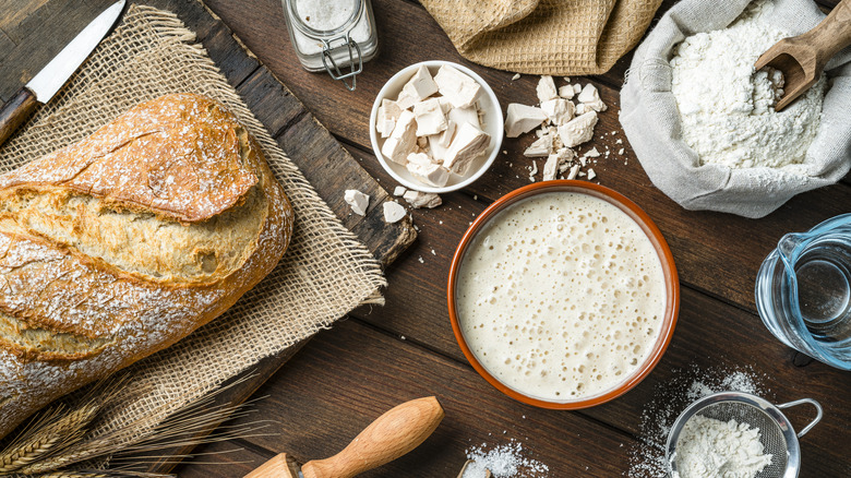 Bread and ingredients on countertop