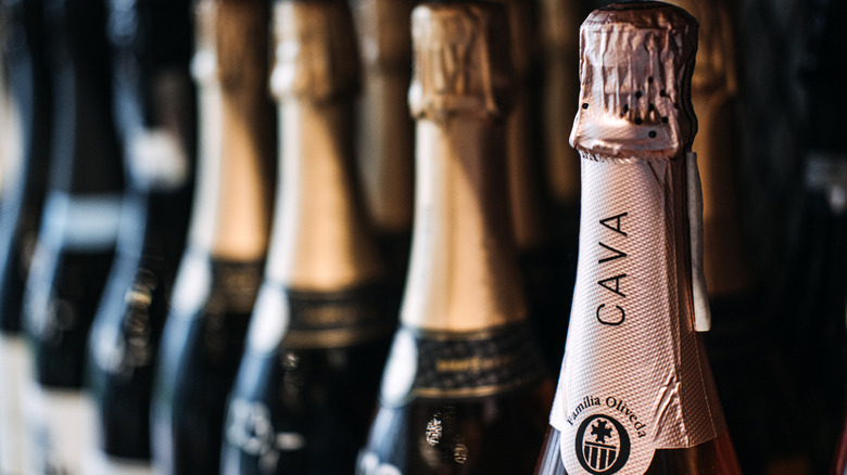 Bottles of cava sparkling wine