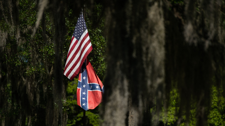 A US flag and a confederate flag on sticks are stuck on a tree trunk