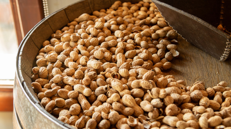 Roasted peanuts in a large barrel