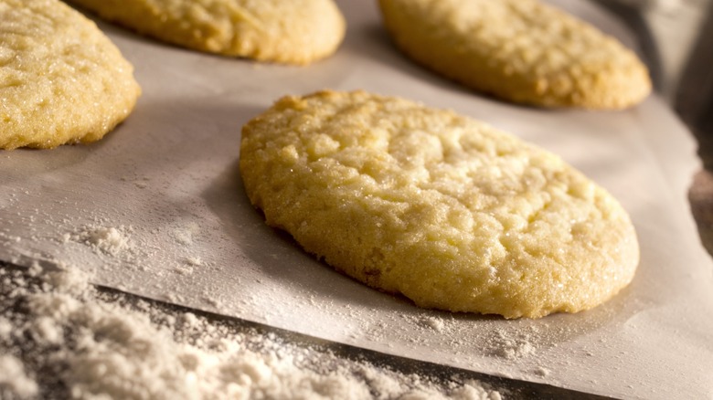 sugar cookies on parchment paper