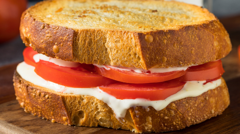 tomato sandwich