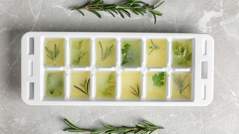 Ice cube tray with herbs in oil