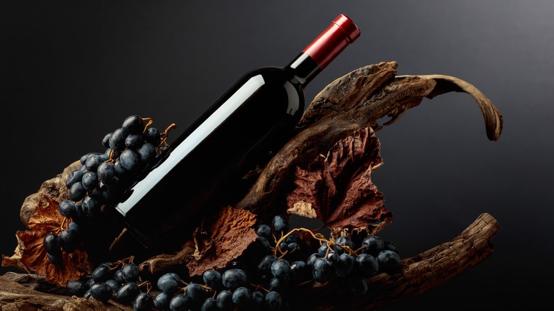 bottle of red wine with grapes and dried vine leaves
