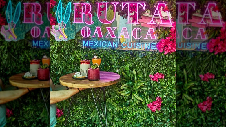 hand holding tray of drinks in front of Ruta Oaxaca neon sign and foliage