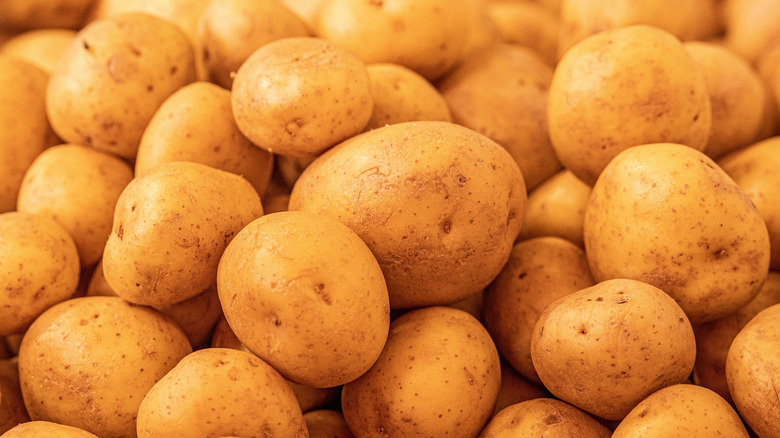 A pile of German Butterball Potatoes