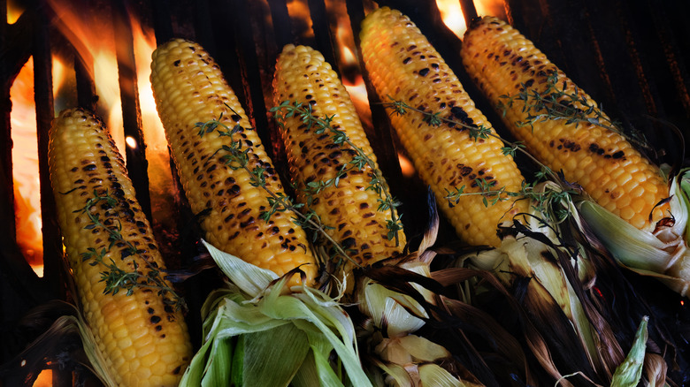 Five corn cobs on grill with garnish