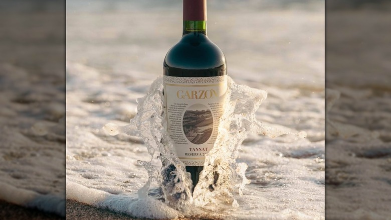 Bottle of Bodega Garzón Reserva Tannat placed on beach as ocean water comes in for photograph.