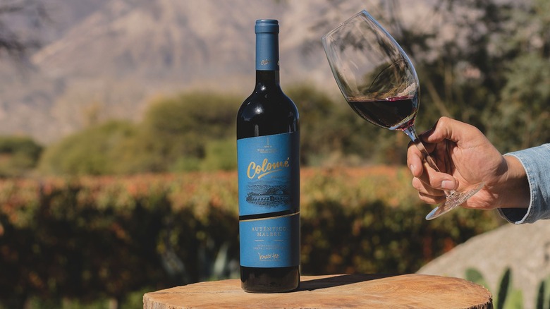 Bottle of Colomé Auténtico Malbec on wooden surface outdoors next to hand holding wine glass
