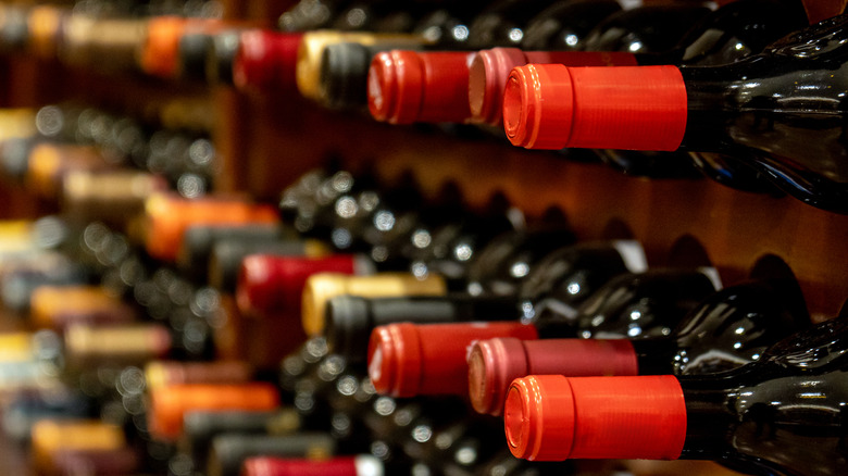 Several bottles of red wine in a wine rack