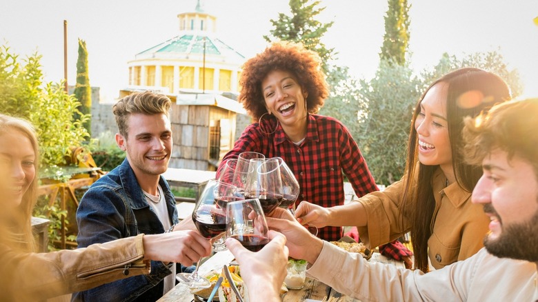 Friends toasting wine glasses