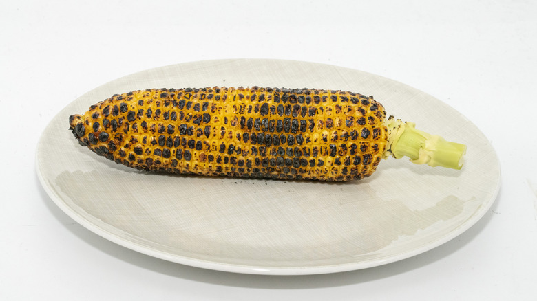 Grilled corn on the cob