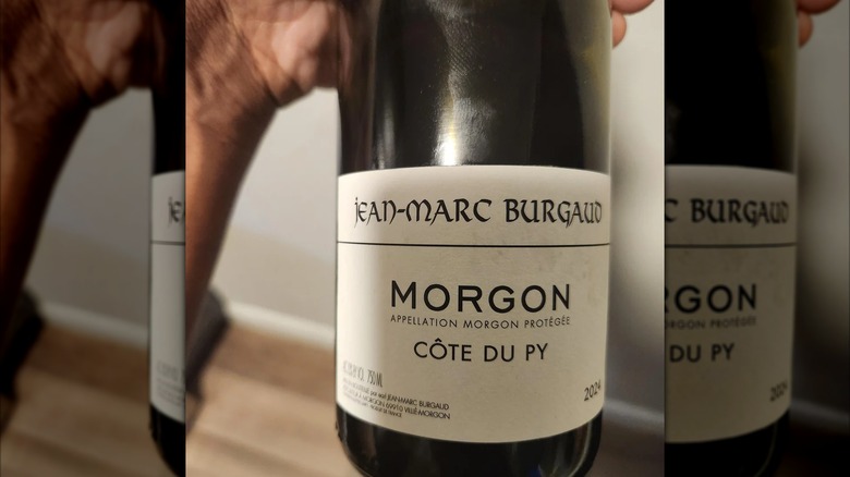 Hand holds bottle of 2024 Jean-Marc Burgaud Morgon beaujolais