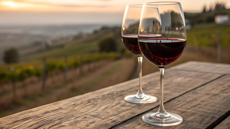 Two glasses of red wine on a wooden picnic table overlooking a vineyard