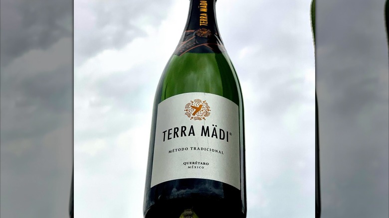 Bottle of Terra Mädi blanc de noirs held against cloudy sky